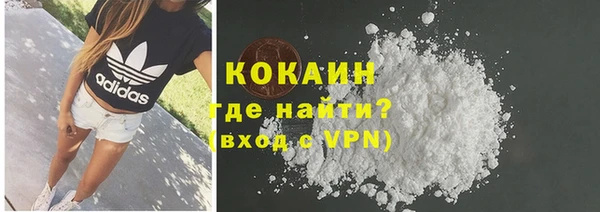 трава Сатка