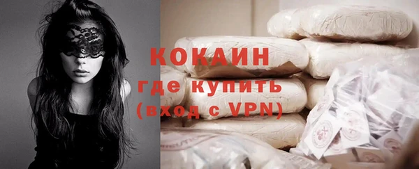 трава Сатка