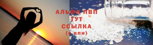 трава Сатка