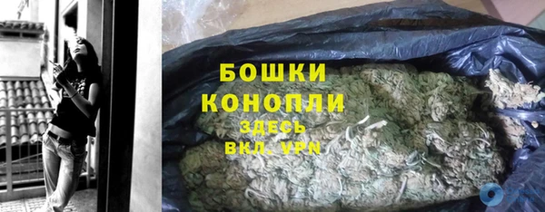 трава Сатка