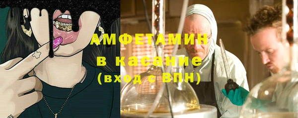 трава Сатка