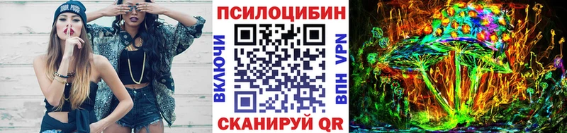 как найти наркотики  Углегорск  Псилоцибиновые грибы Psilocybine cubensis 